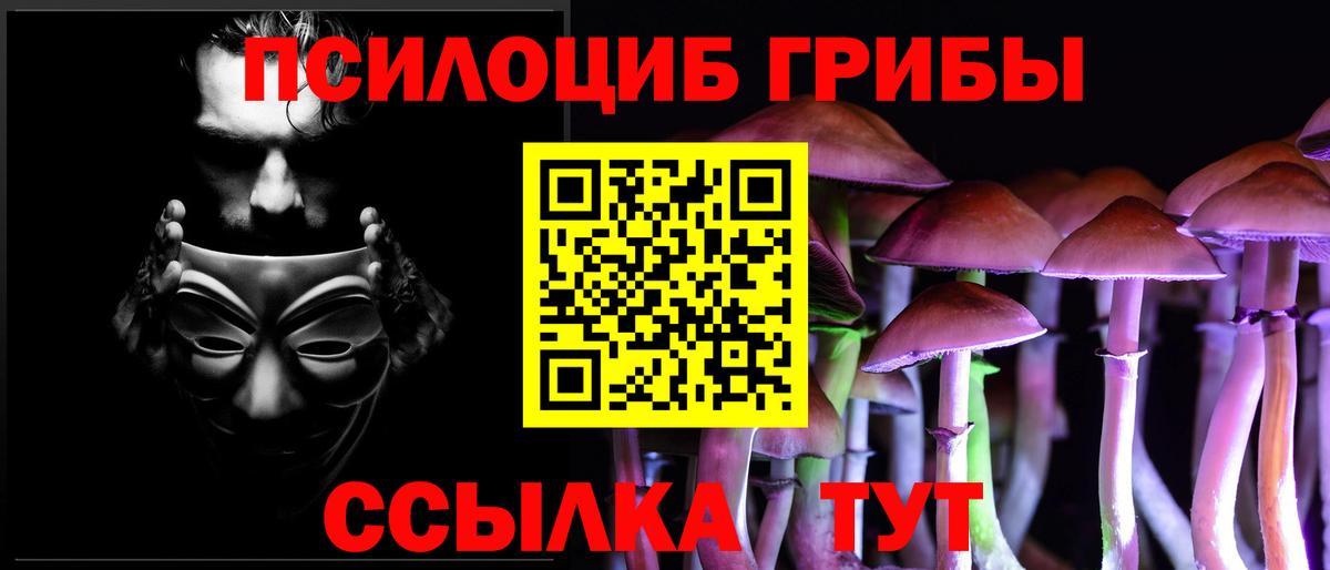Йошкар-Ола  Галлюциногенные грибы ЛСД  Вход с VPN 